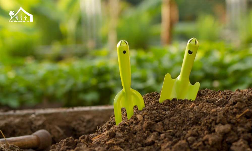 độ-pH-của-đất-là-yếu-tố-quan-trọng-với-sự-phát-triển-của-cây